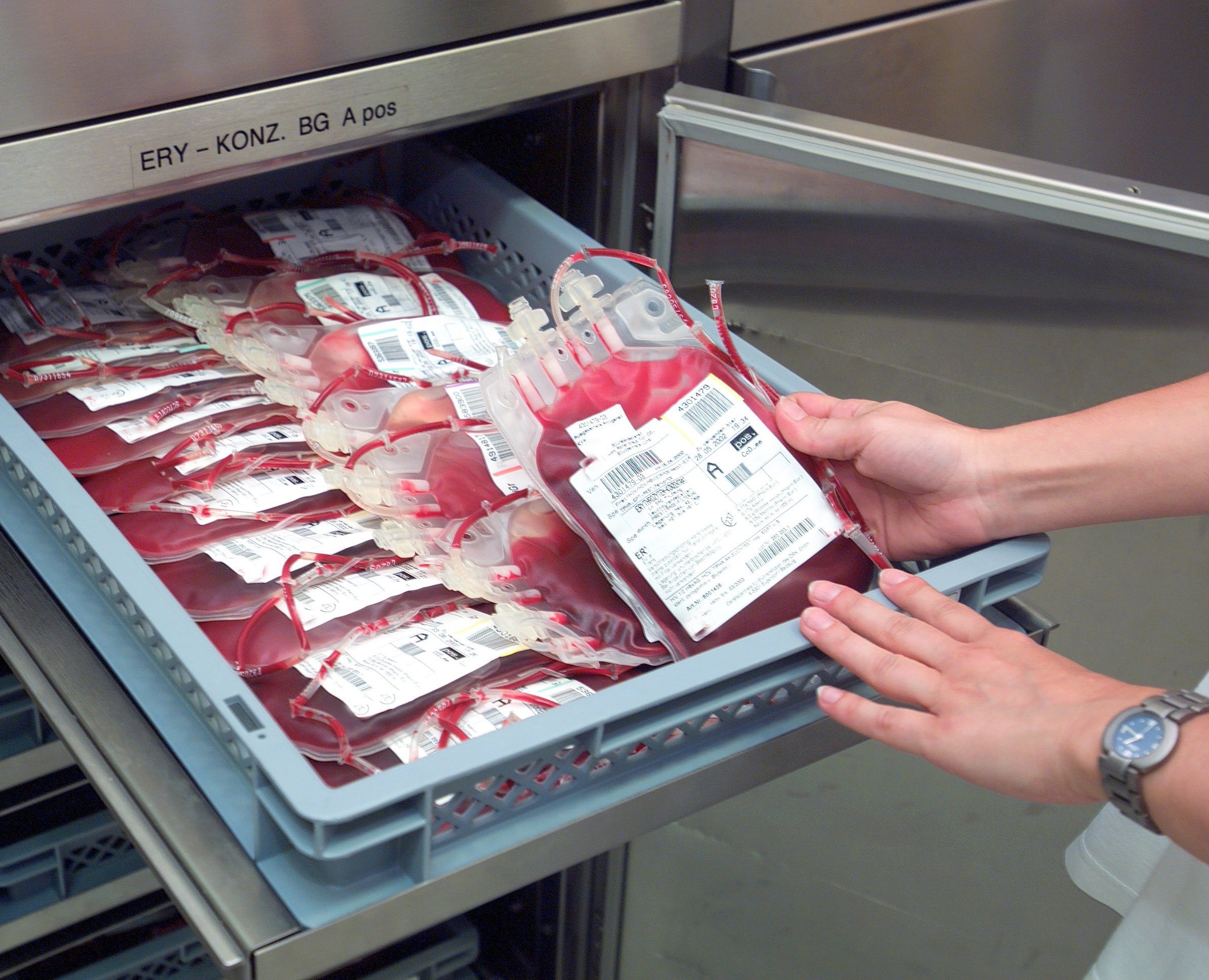 Ensuring Proper Storage and Temperatures for the Blood Bank