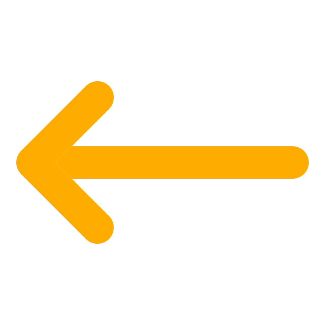 Back button icon (left-pointing orange arrow) — go to previous page/section